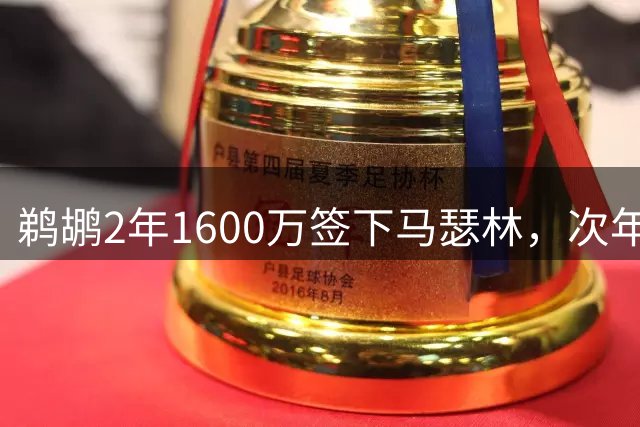 鹈鹕2年1600万签下马瑟林，次年为球员选项引发关注